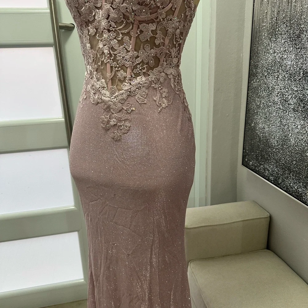 2x$70- Elegant Blush Lace Appliqué Evening Gown - Picture 2 of 6